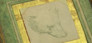 Очаква се рекордна цена за произведение на Леонардо да Винчи