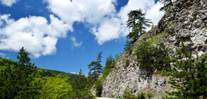 Пътят до Кръстова гора в ремонт