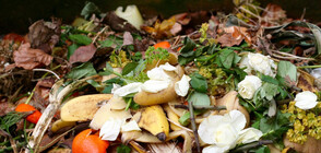 Над тон негодна храна унищожена по Великден