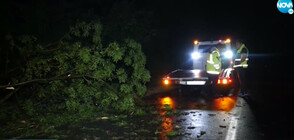 Среднощна буря удари Русе (ВИДЕО)