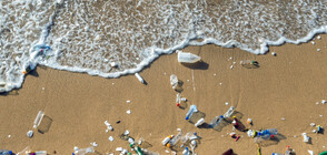 Сърфисти чистят българските плажове