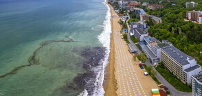 Какви ще бъдат цените по Северното Черноморие този сезон? (ВИДЕО)