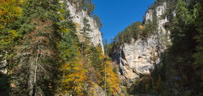 5 часа издирваха две руски туристки край Ягодинската пещера