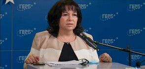 Теменужка Петкова: Енергийният министър изрече големи лъжи (ВИДЕО)