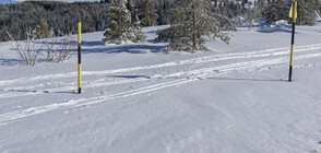 Съдът нареди премахването на ски влек „Меча поляна” на Витоша