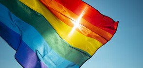 Откриха оригиналното знаме на LGBT общността