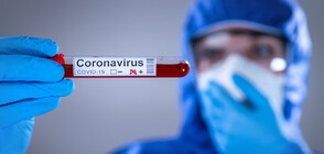 Bulgaria reports 157 new cases of COVID-19