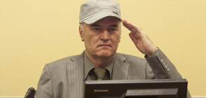 Потвърдиха доживотната присъда на Ратко Младич