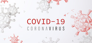 Близо 6 пъти повече излекувани, отколкото новозаразени с COVID-19