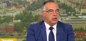 Антон Кутев: ММА бойците изкарват повече пари от политика, отколкото от спорт