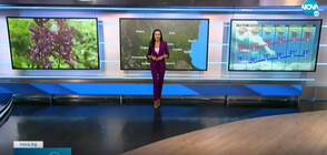 Прогноза за времето (18.06.2021 - централна)
