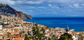 РАБОТА В РАЯ: Дигитални номади на остров Мадейра