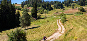 Астрономическото лято настъпи