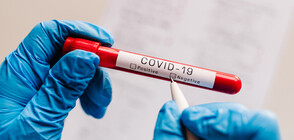 Без смъртни случаи от COVID-19 за последното денонощие