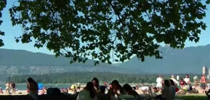Стотици жертви на рекордните жеги в Канада