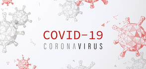 51 new COVID-19 cases reported