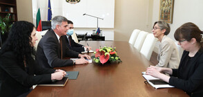 Янев се срещна с ръководителя на мисията за наблюдение на изборите