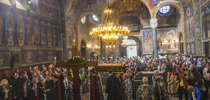 Почитаме Света Неделя