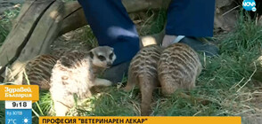 Лятно зооучилище в Зоологическата градина в София (ВИДЕО)