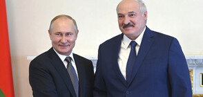 Путин се срещна с Лукашенко, обсъдиха връзките между двете страни