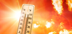 Отчетоха температури от близо 40 градуса в Южна България