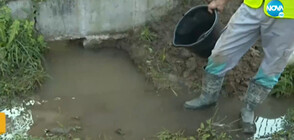 "ПЪЛЕН АБСУРД": Авария на водопровод превърна частен имот в езеро (ВИДЕО)