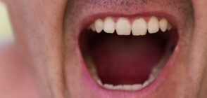 Агресивен шофьор ухапа полицай в Димитровград