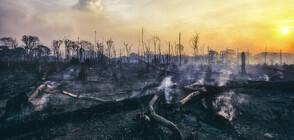 Премина ли опасността от пожара в Сакар