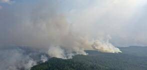 ОПАСНОСТ ОТ ПОЖАРИ: За какво трябва да внимаваме