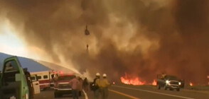 Силни ветрове разпалиха мощен пожар в Калифорния (ВИДЕО)
