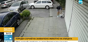 Мъж изостави коте пред ветеринарна клиника (ВИДЕО)