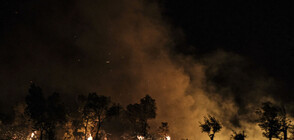 Външно: Няма пострадали българи при пожарите в Гърция