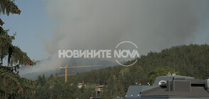 Пожар в гората над Велинград (СНИМКИ)