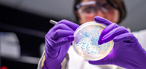 Първи за годината случай на салмонелоза във Велико Търново