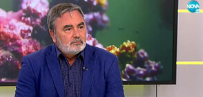 Кунчев: Вече сме в началото на четвъртата вълна на COVID-19