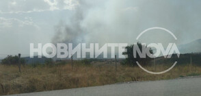 Пожарът край Перник е локализиран