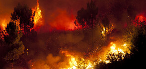 5000 пожарникари се борят с огъня в Калифорния (ВИДЕО+СНИМКИ)