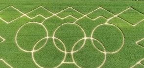 Олимпийски лабиринт в царевична нива в Германия (ВИДЕО)