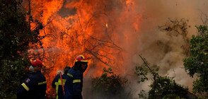 Гърция оценява щетите от опустошителните пожари (ВИДЕО)