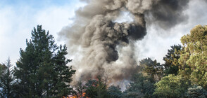 Потушиха пожар на 2150 м в Рила