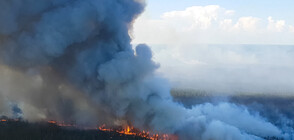 Димът от пожарите в Сибир и е достигнал Северния полюс