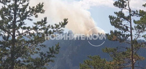 Пожар гори над Боровец (СНИМКИ)