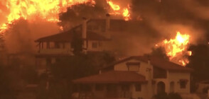 Мъж загина при пожарите в Южна Италия