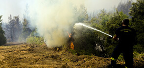 Рекордни жеги и опустошителни горски пожари в Eвропа