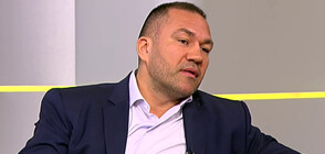 Нокдаун в политиката: На ринга излиза Кубрат Пулев