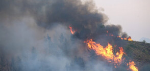 Опасността от пожари в Гърция остава висока