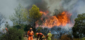 Пожарът в Родопите приближава Югово (ВИДЕО)