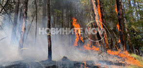 ЕКСКЛУЗИВНО: Николай Василковски в сърцето на пожара над Югово (ВИДЕО+СНИМКИ)