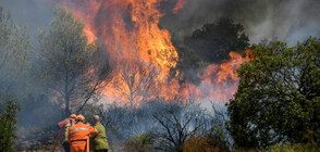 Пожар пламна в планината край Рилския манастир