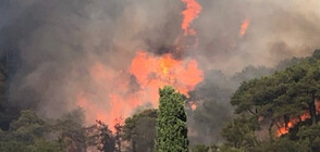 Горски пожар гори на турския остров Хейбелиада (ВИДЕО+СНИМКИ)